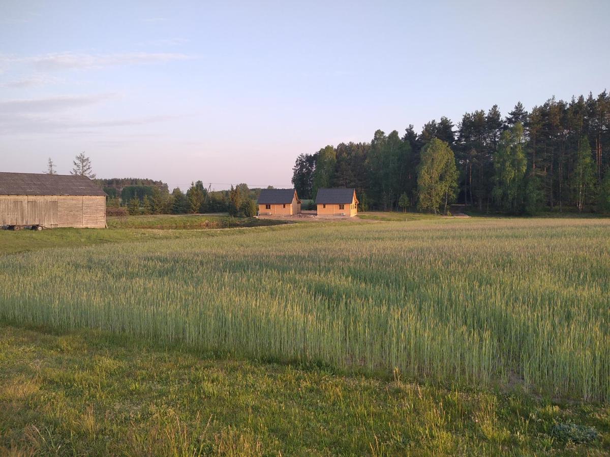 Gorki Wczasy Na Kaszubach别墅 外观 照片